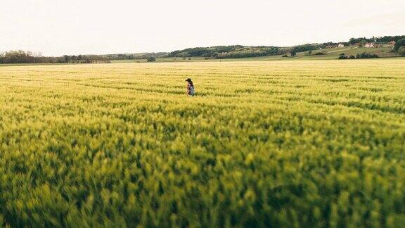 无人机的观点年轻的少女农民走在阳光明媚田园诗般的农村绿色麦田实时