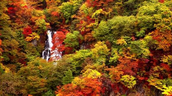 秋天日本日光市附近的麒麟瀑布