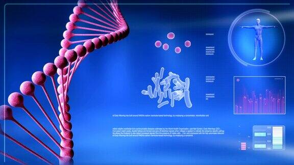 电脑屏幕上的动画DNA链