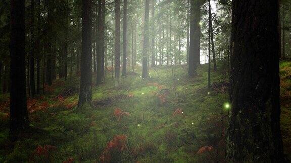 萤火虫在神秘的奇幻童话森林中飞翔阳光透过雾气照耀着自然景观背景