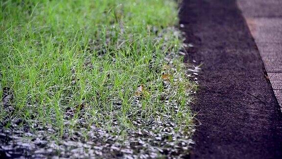 大雨水滴落在花园的石头路面上