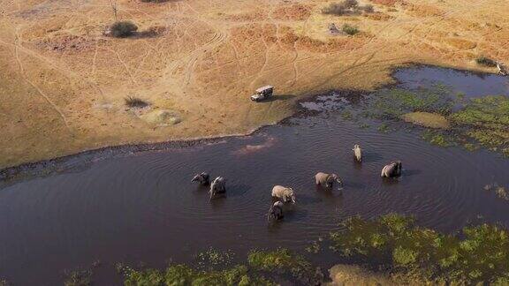 在博茨瓦纳的奥卡万戈三角洲游客们乘坐4x4越野车观看一小群大象在河里饮水的鸟瞰图