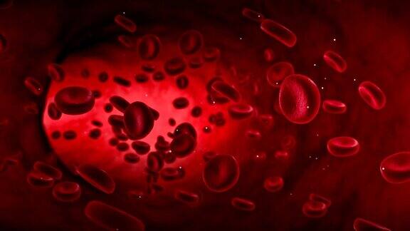 红血球活跃在动脉内在体内流动医疗人体保健