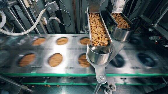 在食品厂自动传送带将干面包装满容器