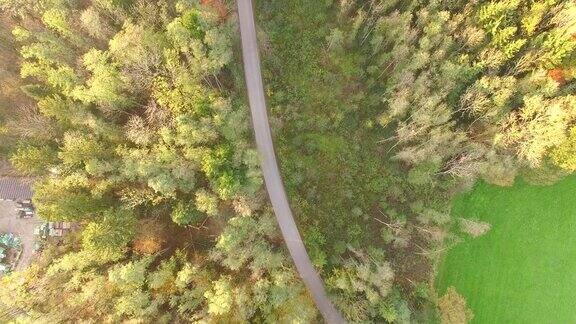 天线:秋天巴伐利亚森林里的小路