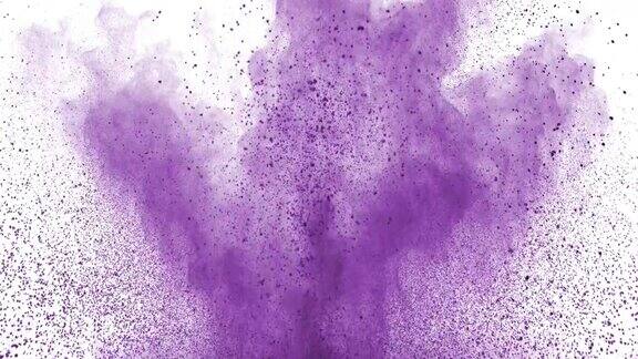 紫色粉末在白色背景上以超慢镜头爆炸
