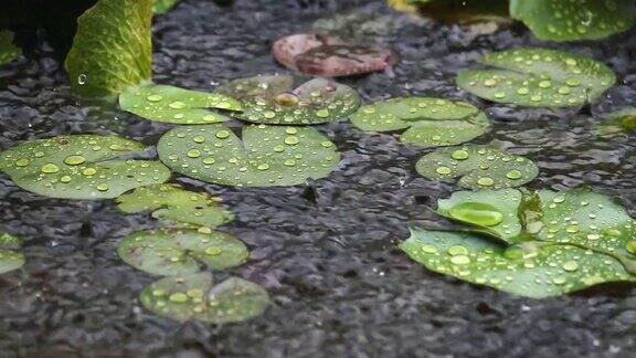 雨滴在缓慢的运动