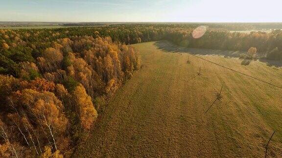 秋天的森林和田野与鸟瞰和在阳光明媚的天气秋天金色的森林五彩缤纷的颜料俄罗斯