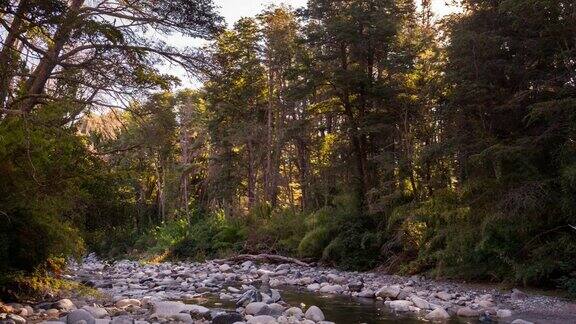 时间流逝的太阳通过绿色的森林和反映在一条河