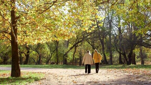 两个年长的女人漫步在秋天的公园小路上边走边聊天
