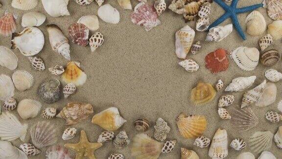 旋转的海贝和海星躺在沙滩上空无一物俯视图