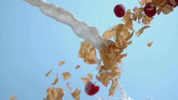 慢镜头里麦片和浆果溅着牛奶