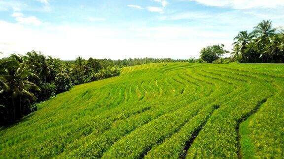 空中印尼农村