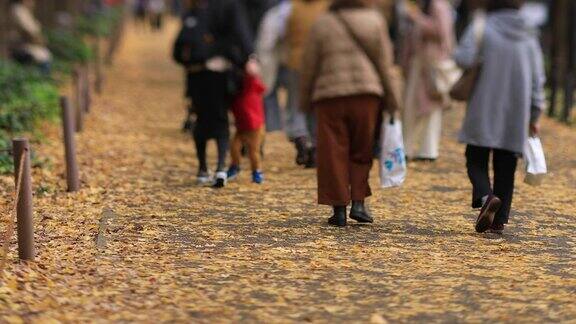 散步的人们在东京的银杏街上手扶着秋天