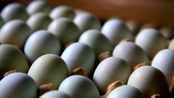鸡蛋在工厂挑选