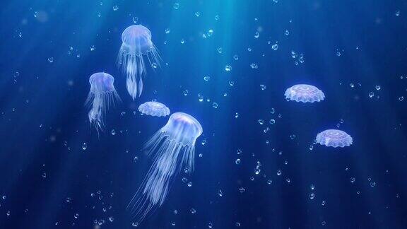 一群在蓝色海水中游动的水母三维动画