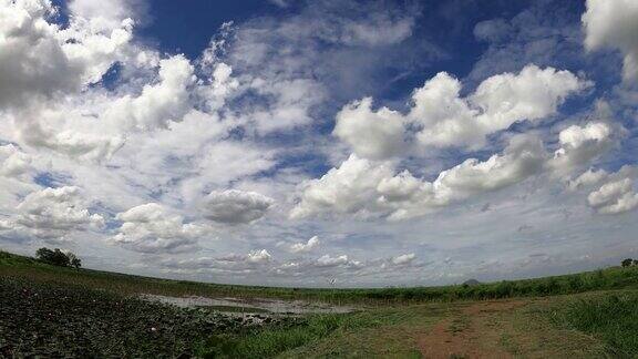 沼泽上的天空和云
