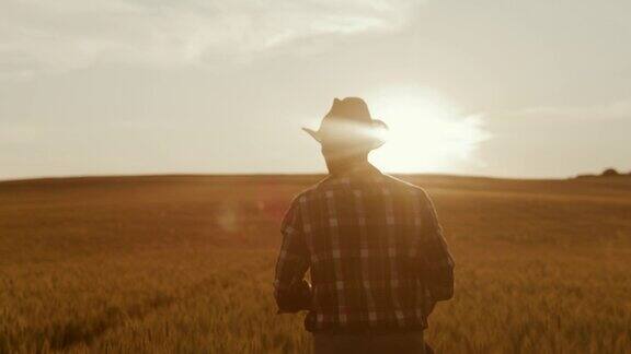 日落时分一位农民在麦田里散步