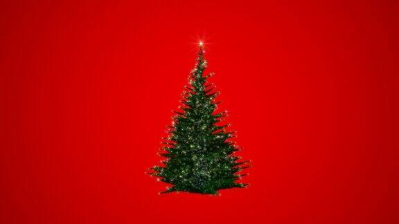 圣诞彩灯树生长着旋转着映衬着红色