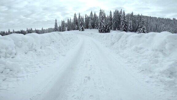 在白雪皑皑的森林路上开车