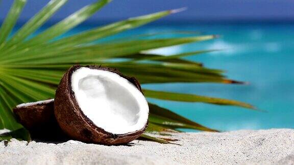 白色的沙滩上有两个半块裂开的棕色椰子