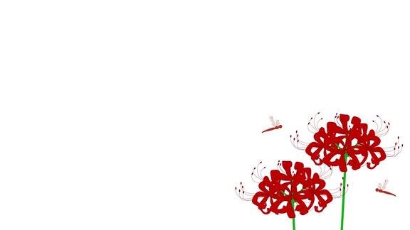 这是一个红色的藤花和在风中摇曳的红色蜻蜓的动画背景动画Loopable