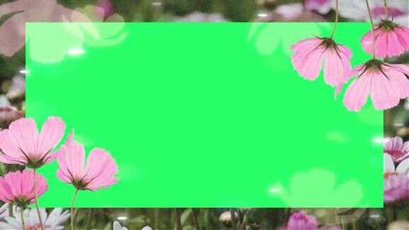 动画粉红色花朵盛开的框架上的绿色背景