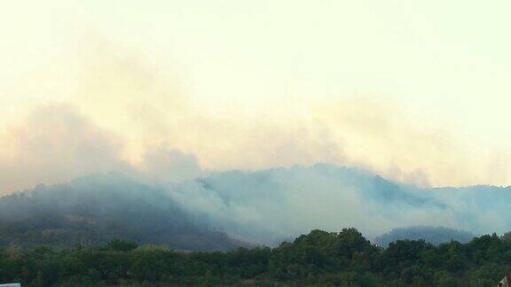 森林大火的烟雾
