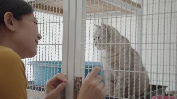 一个亚洲女人透过猫收养中心的笼子看一只可爱的小猫