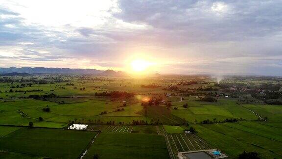 鸟瞰图的日落照耀在山上的稻田