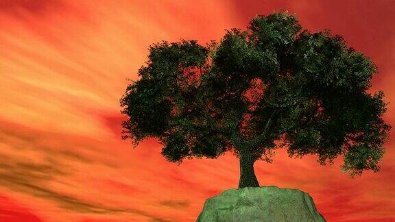 孤独的树在一个有风的日子日落
