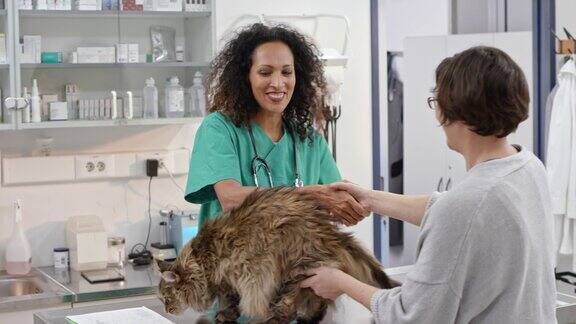 一位女兽医把她的猫带进了诊疗室