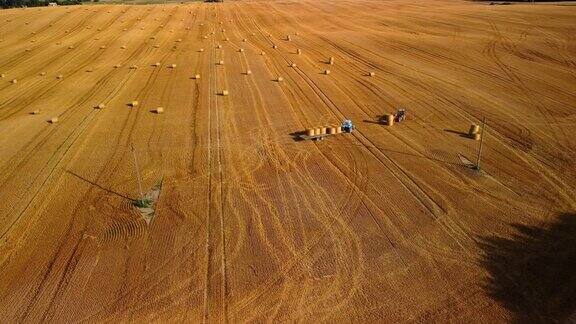 4K格式的大型工业棕色田野鸟瞰图上面有许多干草垛