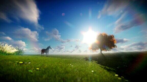美丽的马和生命之树与流逝的云