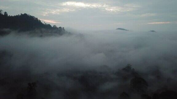 彭亨州卡梅伦高地森林山清晨鸟瞰图日出云海景观