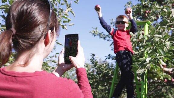 红发小男孩秋天和家人在果园摘苹果