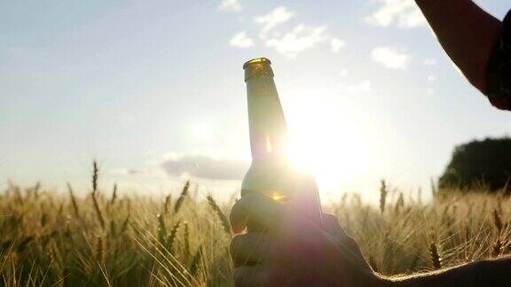 在夕阳下的麦田背景下打开一瓶啤酒一个男人的手打开一个瓶子一个慢动作视频