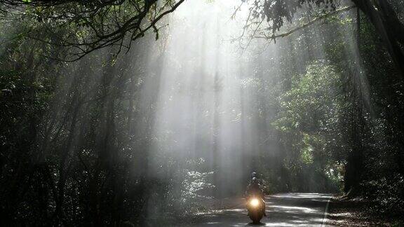 摩托车在道路上阳光的光束穿过树木在雾蒙蒙的森林