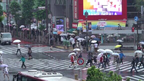 东京涉谷十字路口的雨天