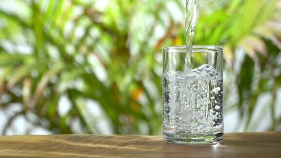 慢动作:把水倒进一个水杯里背景是茂盛的树叶