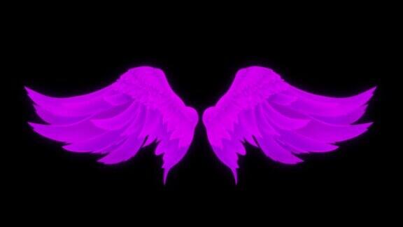 动画紫色翅膀孤立在黑色背景上