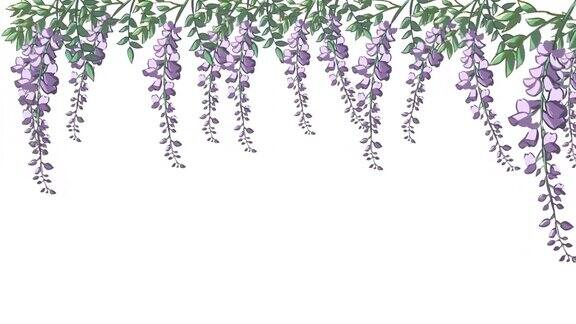 紫藤花很多
