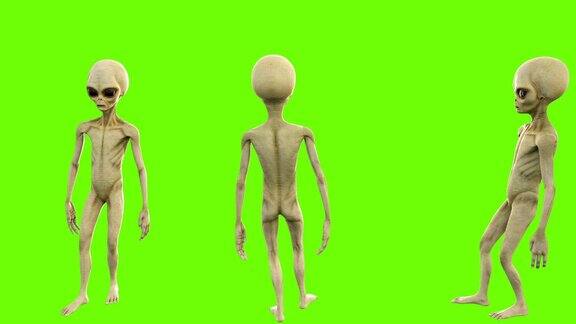 外星人挥手致意绿色屏幕上的可循环动画4k