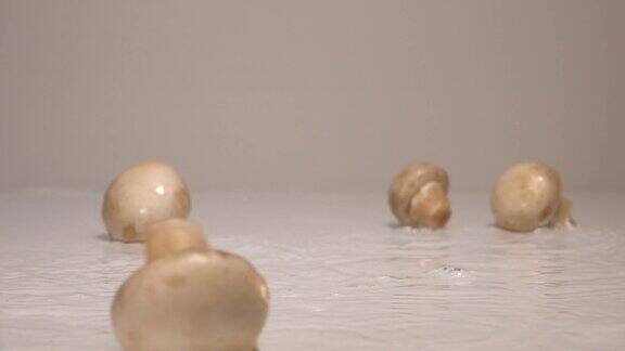 白色背景的白色桌子上蘑菇落在水中慢镜头240帧秒
