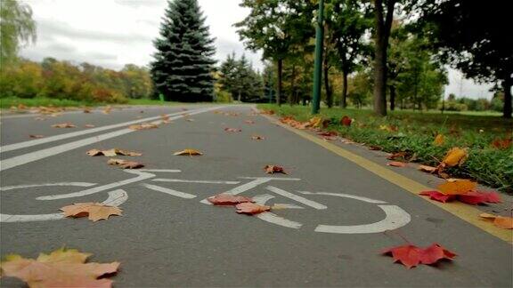 路上有自行车标志秋天