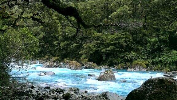 峡湾国家图托科河图托科桥上的马德琳山