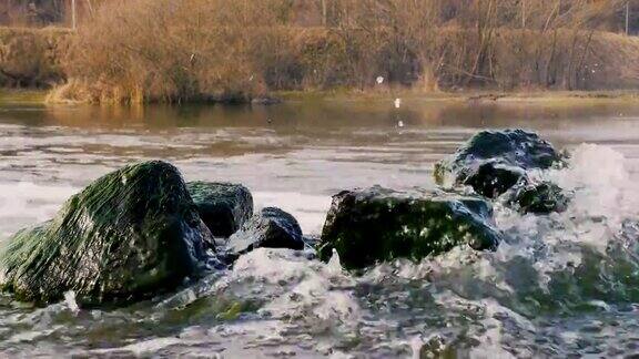 河流从石头上流过瀑布从石头上流过映衬着河边的自然风光水是浇注水溅视频壁纸