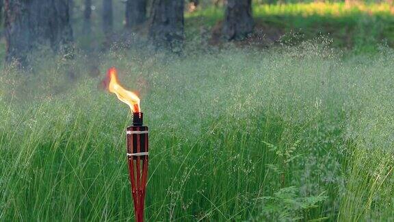 在森林中燃烧的油料竹炬