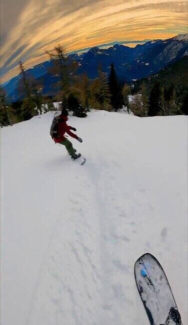 垂直视频POV拍摄的两个自由式滑雪运动员雕刻之间的树下的山