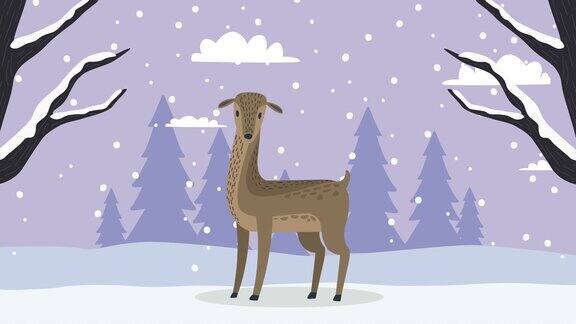 雪景中有可爱的小鹿